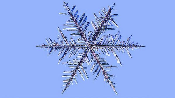 Неповторимые и чудесные: геометрия снежинок в фотографиях