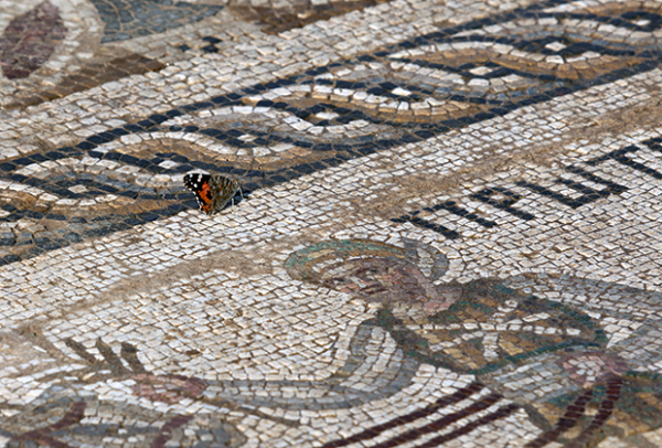 На Кипре нашли уникальную мозаику с изображениями римских скачек