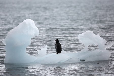 В Антарктиде обнаружили признаки приближающейся катастрофы