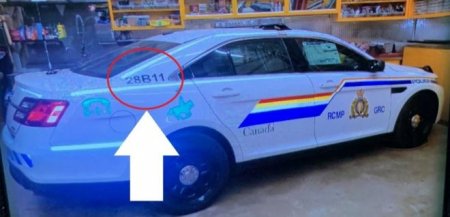 Стрельба в Канаде: нападавший, переодевшийся полицейским, убил 16 человек