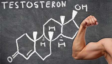 Обнаружена связь между щедростью мужчин и их уровнем тестостерона