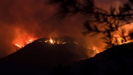 На Кипре бушует лесной пожар. Власти называют его самым страшным в истории страны и просят о помощи