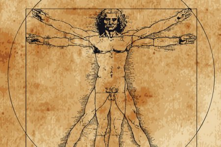 Популярные мифы и научные факты о мужском организме