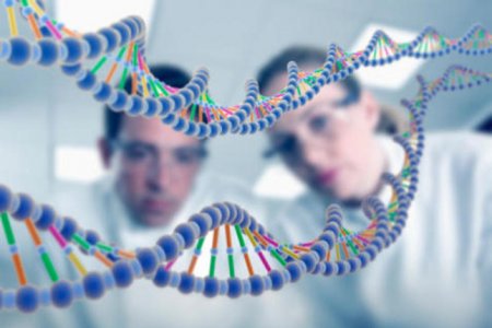 В ДНК обнаружили неизвестную структуру