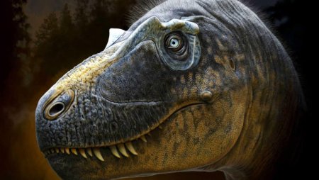 Найдено недостающее звено в эволюции тираннозавров