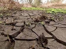 КНДР страдает от сильнейшей за последние полвека засухи