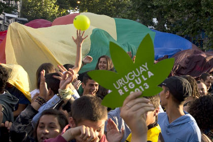 Уругвай стал первой в мире страной, легализовавшей производство и продажу марихуаны