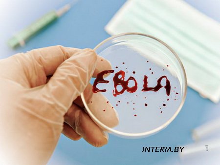 Открывший вирус Эбола профессор назвал причины медленной борьбы с ним