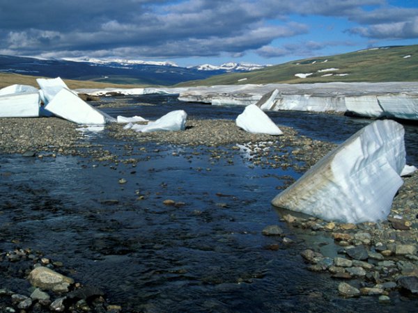 Алтайские ученые объявили о начале глобального похолодания