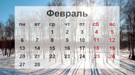 Какие изменения ждут белорусов с февраля 2017 года