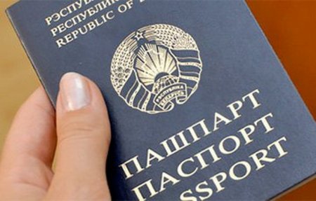 Почему паспорта мира бывают только четырех цветов