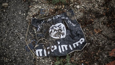 В Ираке кабаны насмерть затоптали боевиков ИГ
