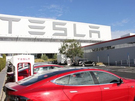 Компании Tesla предсказали крах до конца 2019 года