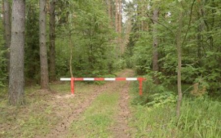 В Беларуси массово закрываются леса для посещения