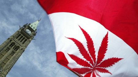 Канада полностью легализовала марихуану