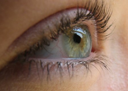 Google запустила проект искусственного интеллекта, помогающего выявлять диабетическое заболевание глаз