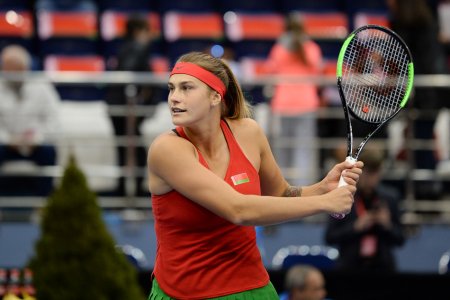 Арина Соболенко впервые в карьере войдет в топ-10 мирового рейтинга