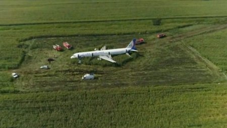 Пассажирский самолет Airbus A321 совершил жесткую посадку в кукурузном поле