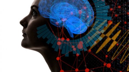 Ученые: IQ не является показателем интеллекта человека