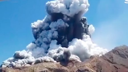 Извержение вулкана в Новой Зеландии: на острове не осталось живых