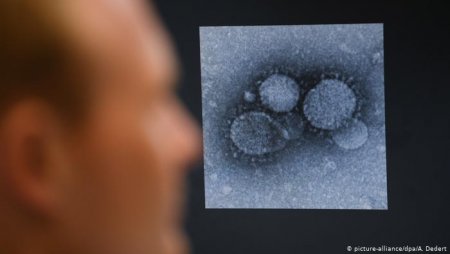 БЦЖ и коронавирус: защищает ли от COVID-19 прививка от туберкулеза?