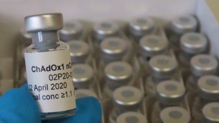 В Оксфорде начинают клинические испытания вакцины на людях