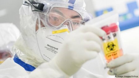 Лаборатория или рынок морепродуктов: где появился коронавирус SARS-CoV-2?