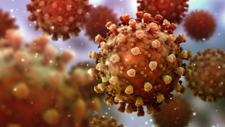Коронавирус и иммунитет: можно ли заболеть Covid-19 повторно?