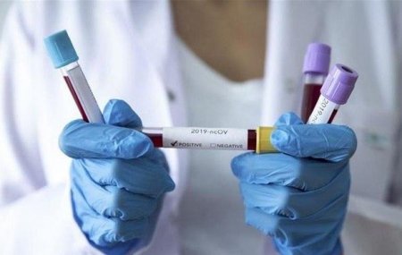 В Беларуси выявлено 17 489 зараженных коронавирусом