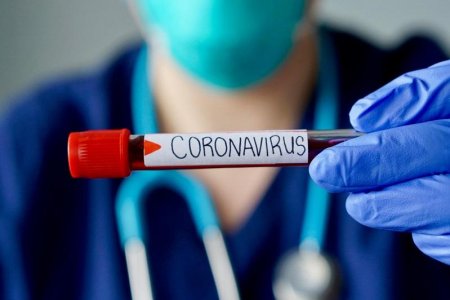 В Беларуси зарегистрировано 24 873 человека, заразившихся коронавирусом