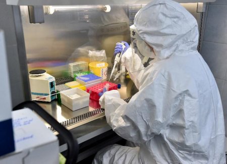 Парадокс: ученые назвали группу людей с самым стойким иммунитетом к коронавирусу