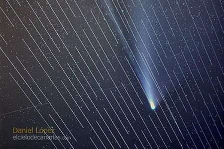 Спутники Илона Маска помешали наблюдать за ярчайшей кометой