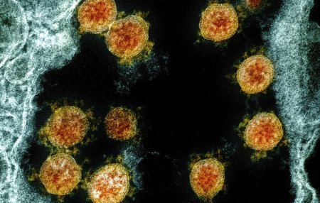 У коронавируса нашли уязвимость. И лекарство, которое может на нее действовать