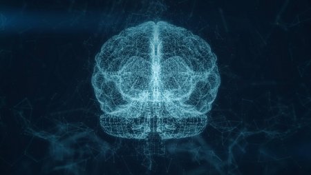 Российские ученые создали первый в мире нейрохимический компьютер