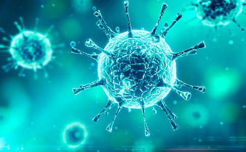 Ученые раскрыли происхождение коронавируса SARS-CoV-2
