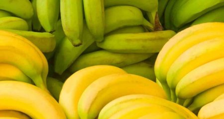 Какие бананы лучше есть: желтые или зеленые?