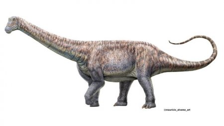 Ученые Чили утверждают, что нашли новый вид титанозавра