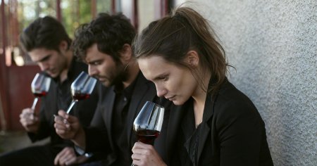 Ученые замедлили созревание винограда, чтобы улучшить качество вина