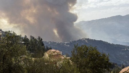 Лесные пожары в Алжире унесли жизни десятков человек