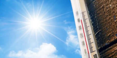 Июль стал самым жарким месяцем в мире за всю историю метеонаблюдений