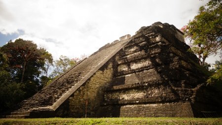 Археологи выяснили, зачем майя построили пирамиду в Сальвадоре