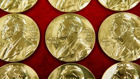 Нобелевскую премию по химии присудили за создание инструмента по синтезированию молекул