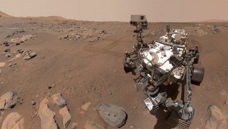 По следам марсианской жизни. Что успел найти на Красной планете за 9 месяцев марсоход "Персеверанс"