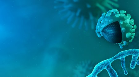 Биологи впервые увидели, как вирусная РНК захватывает клетки-хозяина