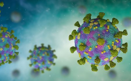 Раскрыта эволюция коронавируса в сторону устойчивых к иммунитету штаммов