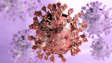 "Омикрон": что известно о новом варианте коронавируса и как от него защититься?