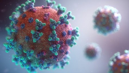 Ученые из Уханя предупредили об опасности нового коронавируса
