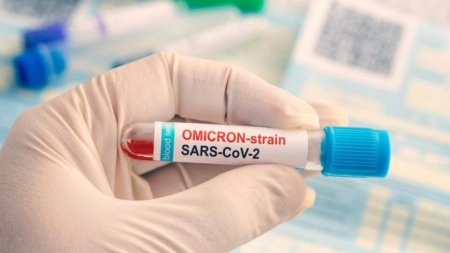 Штамм коронавируса «стелс-омикрон» оказался заразнее обычного омикрона
