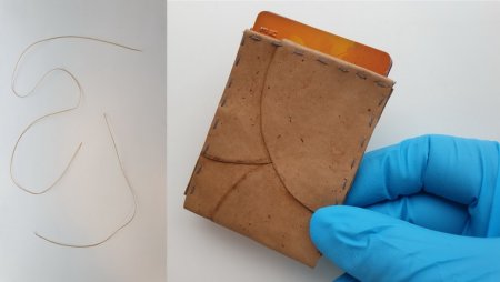 Ученые придумали, как заменить кожу, пряжу и бумагу на материал из грибов