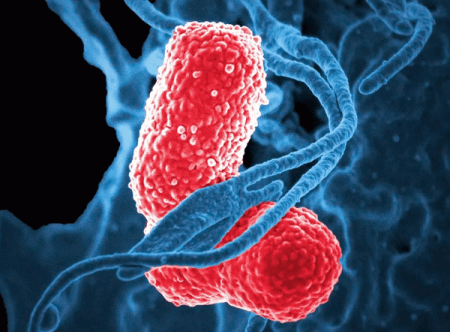 Лазер вместо антибиотиков: ученые придумали необычный способ борьбы с микробами